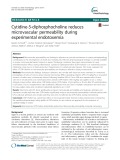 Cytidine-5-diphosphocholine reduces microvascular permeability during experimental endotoxemia
