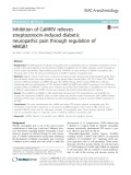Inhibition of CaMKIV relieves streptozotocin-induced diabetic neuropathic pain through regulation of HMGB1