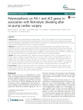 Polymorphisms on PAI-1 and ACE genes in association with fibrinolytic bleeding after on-pump cardiac surgery
