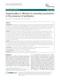 Sugammadex is effective in reversing rocuronium in the presence of antibiotics