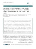 Metabolic acidosis may be as protective as hypercapnic acidosis in an ex-vivo model of severe ventilator-induced lung injury: A pilot study