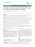 The effects of topical and intravenous JM-1232(-) on cerebral pial microvessels of rabbits