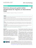 Real-time ultrasound-guided stellate ganglion block for migraine: An observational study