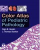 Color Atlas of Pediatric Pathology (2011) -  Part 1