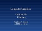 Lecture Computer graphics - Lesson 40: Fractals