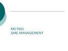 Lecture SME Management - Lesson 5: Small entrepreneurs in Pakistan and role of SME in global and regional level