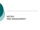 Lecture SME Management - Lesson 44: WTO conclusions and recommendations