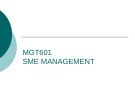 Lecture SME Management - Lesson 7: Government efforts towards SME development