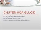 Bài giảng Chuyển hóa Glucid - BS. Nguyễn Trần Minh Thắng