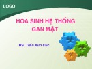 Bài giảng Hóa sinh hệ thống gan mật - BS. Trần Kim Cúc