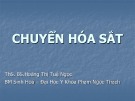 Bài giảng Chuyển hóa sắt - ThS. BS.Hoàng Thị Tuệ Ngọc