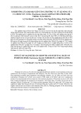 Ảnh hưởng của độ mặn lên tăng trưởng và tỷ lệ sống của cá chim vây vàng (Trachinotus blochii) giống ương trong hệ thống tuần hoàn