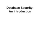 Lecture Database Systems - Chapter 10: Database security: An introduction (Nguyen Thanh Tung)
