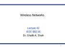 Wireless networks - Lecture 42: IEEE 802.16