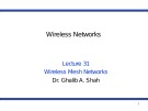 Wireless networks - Lecture 31: Wireless mesh networks