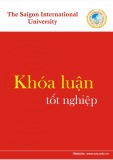 Khóa luận tốt nghiệp ngành Quản trị kinh doanh: Phân tích thực trạng doanh thu và giải pháp nâng cao doanh thu tại Công ty TNHH Thiết bị công nghiệp Việt Hà
