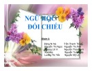 Bài thuyết trình Ngữ học đối chiếu: Lời nói từ chối lời mời trong tiếng Anh và tiếng Việt