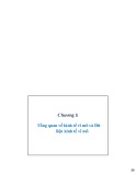 Bài giảng Kinh tế học - Chương 5: Tổng quan về kinh tế vĩ mô và Dữ liệu kinh tế vĩ mô