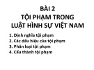 Bài giảng Luật Hình sự Việt Nam - Bài 2: Tội phạm trong Luật Hình sự Việt Nam