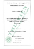 Luận văn Thạc sĩ Khoa học lâm nghiệp: Nghiên cứu một số đặc điểm sinh thái và sinh trưởng loài Xoan mộc (Toona Sureni (Bl) Merr) Ở Đăk Lăk