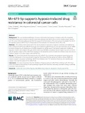 Mir-675-5p supports hypoxia-induced drug resistance in colorectal cancer cells