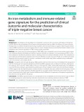 An iron metabolism and immune related gene signature for the prediction of clinical outcome and molecular characteristics of triple-negative breast cancer
