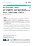 Berberine inhibits intestinal carcinogenesis by suppressing intestinal pro-inflammatory genes and oncogenic factors through modulating gut microbiota