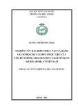 Khóa luận tốt nghiệp: Nghiên cứu đặc điểm thực vật và đánh giá sơ bộ chất lượng dược liệu của Sâm bố chính (Abelmoschus Sagittifolius (Kurz) merr.) ở Việt Nam