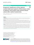 Prognostic significance of the skeletal muscle index and systemic inflammatory index in patients with lymph node-positive breast cancer after radical mastectomy