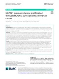 NAP1L1 promotes tumor proliferation through HDGF/C-JUN signalling in ovarian cancer