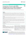Comparison of tumors with HER2 overexpression versus HER2 amplification in HER2-positive breast cancer patients