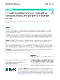 Ferroptosis-related long non-coding RNA signature predicts the prognosis of bladder cancer