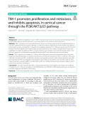 TIM-1 promotes proliferation and metastasis, and inhibits apoptosis, in cervical cancer through the PI3K/AKT/p53 pathway