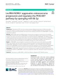 LncRNA NDRG1 aggravates osteosarcoma progression and regulates the PI3K/AKT pathway by sponging miR-96-5p