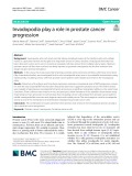 Invadopodia play a role in prostate cancer progression