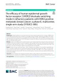 The efficacy of human epidermal growth factor receptor 2 (HER2) blockade switching mode in refractory patients with HER2-positive metastatic breast cancer: A phase II, multicenter, single-arm study (SYSUCC-005)
