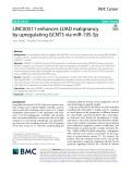 LINC00511 enhances LUAD malignancy by upregulating GCNT3 via miR-195-5p