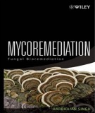 Ebook Mycoremediation: Fungal bioremediation – Part 1