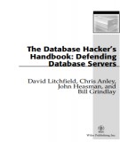 Ebook The Database hacker’s handbook: Defending database servers – Part 1