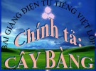 Bài giảng Tiếng Việt 1: Chính tả bài Cây bàng