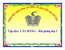 Bài giảng Tiếng Việt 1:Tập đọc Cây bàng