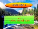 Bài giảng Sinh học lớp 9 bài 32: Công nghệ gen