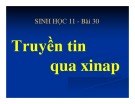 Bài giảng Sinh học lớp 11 bài 30: Truyền tin qua Xinap