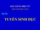 Bài giảng Sinh học lớp 8 bài 58: Tuyến sinh dục