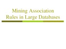 Lecture Data mining: Lesson 7