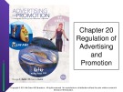 Lecture Advertising and promotion: An integrated marketing communications perspective  (10/e): Chapter 20 - George E. Belch, Michael A. Belch