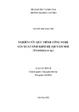 Luận án Tiến sĩ Công nghệ sinh học: Nghiên cứu quy trình công nghệ sản xuất sinh khối hệ sợi nấm mối (Termitomyces sp.)