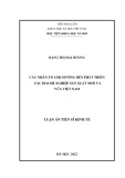 Luận án Tiến sĩ Kinh tế: Các nhân tố ảnh hưởng đến phát triển các doanh nghiệp sản xuất nhỏ và vừa Việt Nam