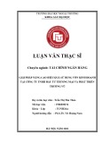 Luận văn Thạc sĩ Tài chính Ngân hàng: Giải pháp nâng cao hiệu quả sử dụng vốn kinh doanh tại Công ty TNHH đầu tư thương mại và phát triển Trường Vũ