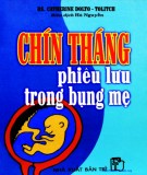 Chín tháng đầu đời trong bụng mẹ: Phần 2